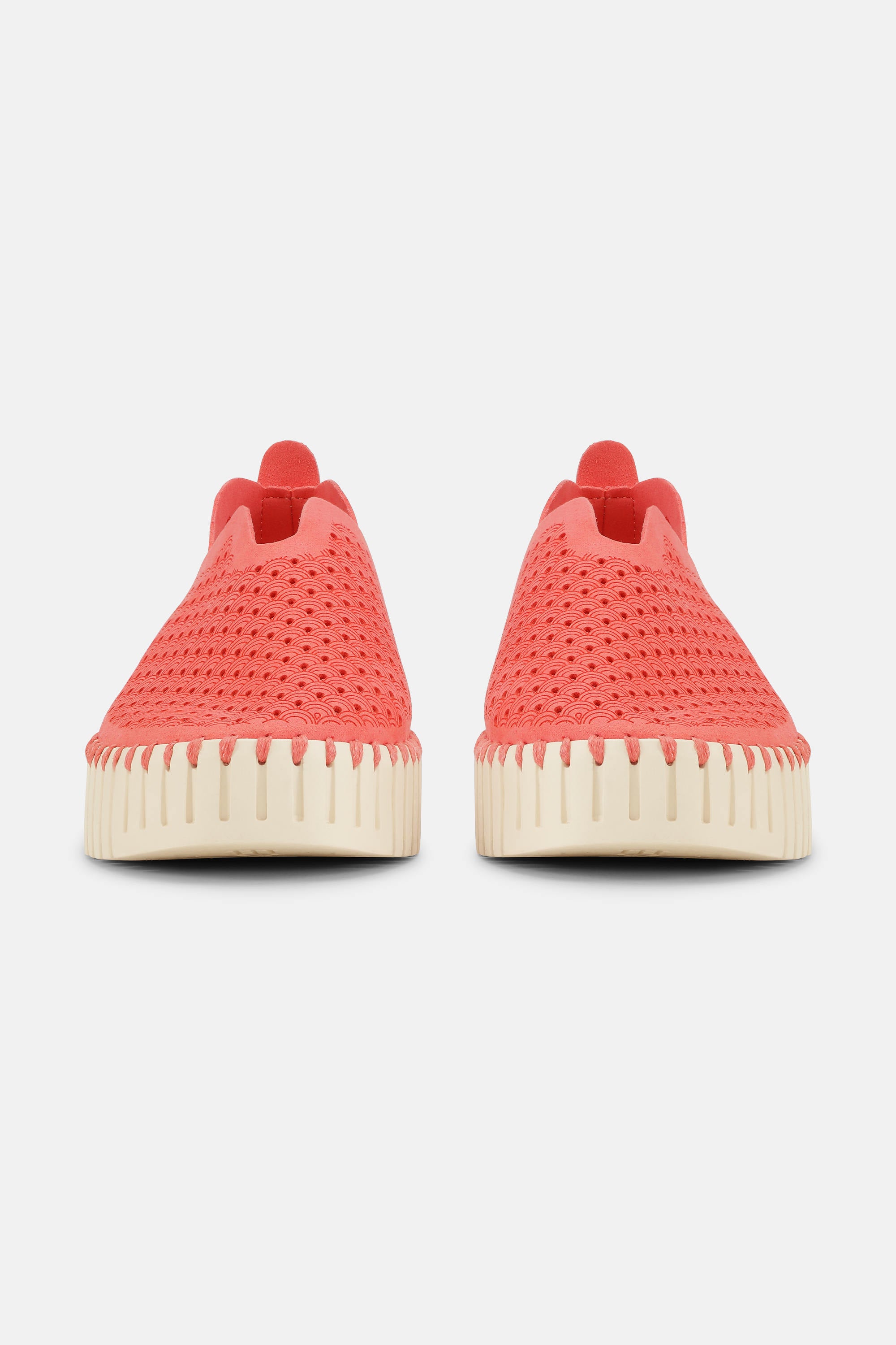 Platform Tulip Skor - Raspberry